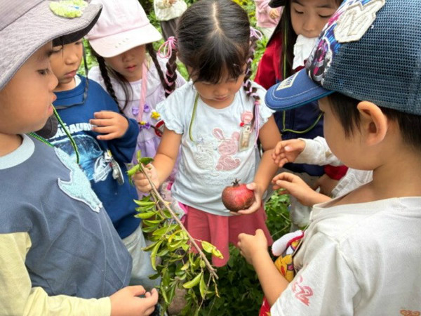 クラスだより ひばり組