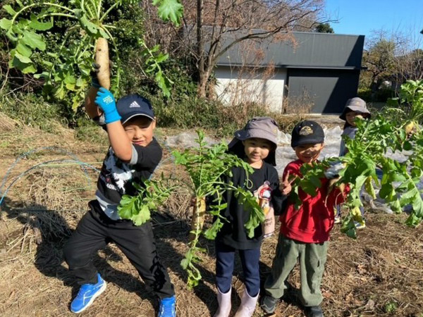 クラスだより　ひばり組