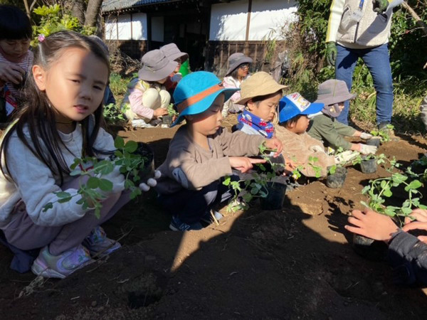クラスだより　ひばり組