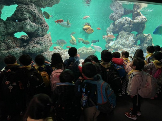 クラスだより　つくし組